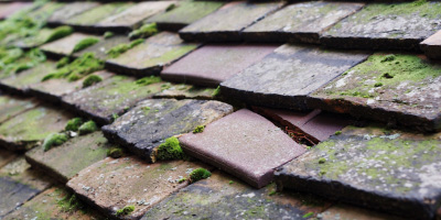 Keynsham roof repair costs